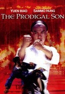 The Prodigal Son poster image