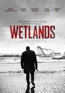 Wetlands poster image