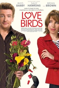 Watch trailer for Love Birds