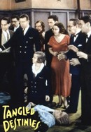 Tangled Destinies poster image