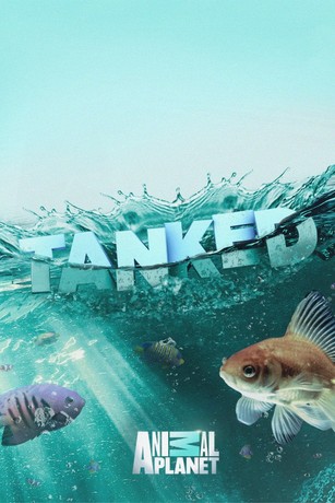Tanked full episodes free online best sale