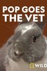 Poster for 