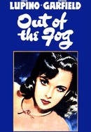 Out of the Fog poster image