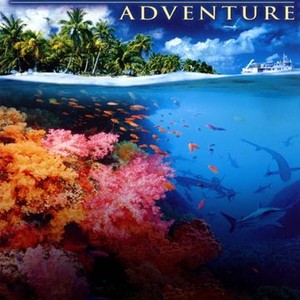 Reef Fish Course DVD