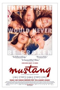 DVD Cover for Mustang