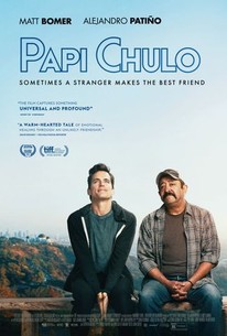 Papi chulo poster