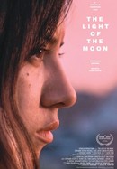 The Light of the Moon poster image