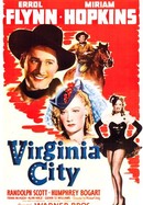 Virginia City poster image
