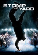 Stomp the Yard poster image