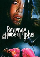 Revenge in the House of Usher poster image
