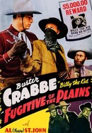 Fugitive of the Plains poster image