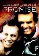 Promise poster image