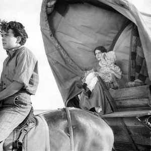 David Rollins - Rotten Tomatoes