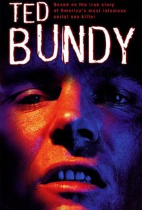 Ted Bundy poster