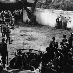 Ann Codee - Rotten Tomatoes