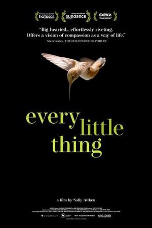 Every Little Thing poster