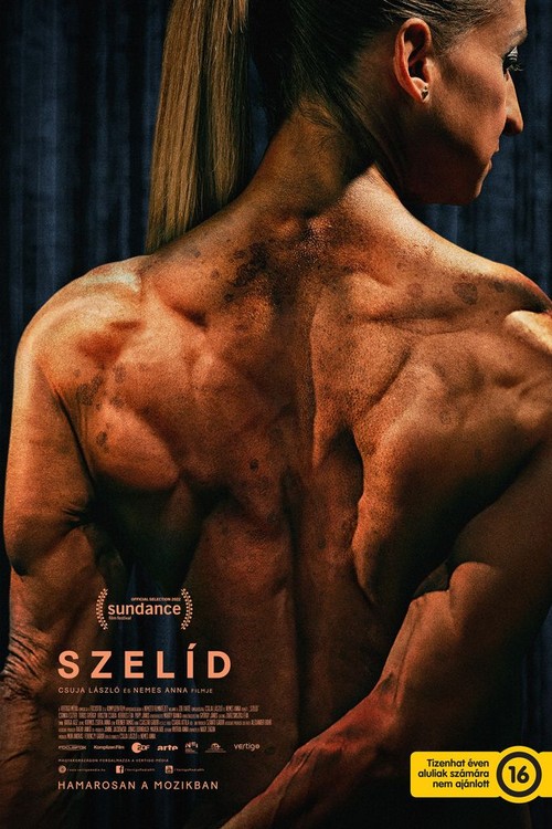 Gentle poster