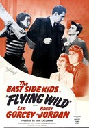 Flying Wild poster image