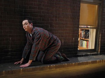 Big bang theory season 3 clearance episode 13 dailymotion