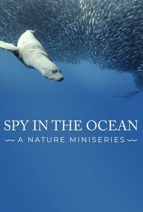 Spy in the Ocean, A Nature Miniseries