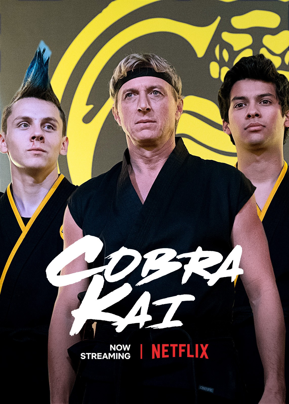  Cobra Kai - Season 05 (2 Disc) - DVD : Ralph Macchio, William  Zabka, Courtney Henggeler, Xolo Maridueña, Tanner Buchanan: Movies & TV