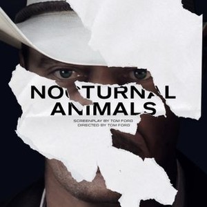 Nocturnal Animals - Rotten Tomatoes