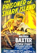 The Prisoner of Shark Island poster image