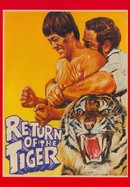 Return of the Tiger poster image