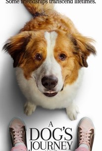 Watch trailer for A Dog's Journey