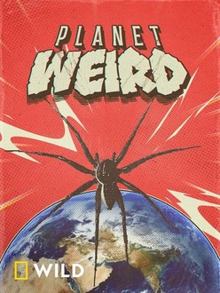 Planet Weird: Season 1 | Rotten Tomatoes