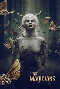 The Magicians Season 2 Rotten Tomatoes