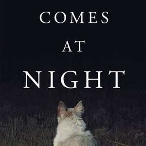 It Comes at Night photo 4