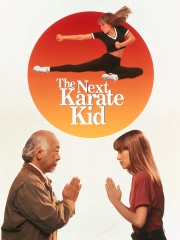karate kid next