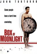 Box of Moonlight poster image