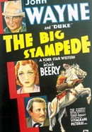 The Big Stampede poster image