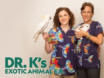 Dr k avian and exotic best sale animal hospital