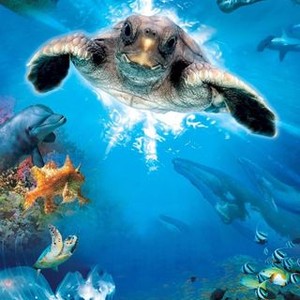 Turtle: The Incredible Journey photo 13