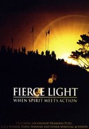 Fierce Light: When Spirit Meets Action poster image