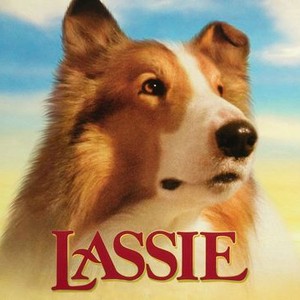 Lassie photo 1
