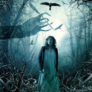 Luna photo 4