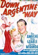 Down Argentine Way poster image