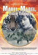Mabel, Mabel, Tiger Trainer poster image