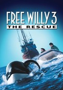 Free Willy 3: The Rescue poster image