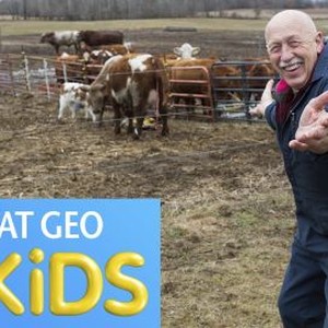 Nat Geo Kids - Rotten Tomatoes