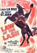 Law of the Lash poster image
