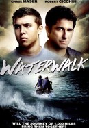 Waterwalk poster image