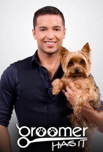 Cesar fashion millan yorkie