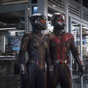 Ant-Man and The Wasp's Rotten Tomatoes Score Announced - Bounding Into  Comics