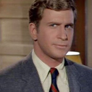 Ted Bessell as Don Hollinger