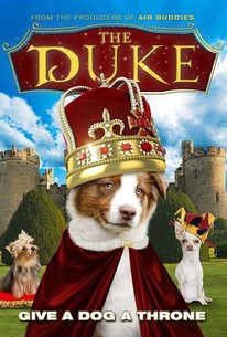 The Duke | Rotten Tomatoes